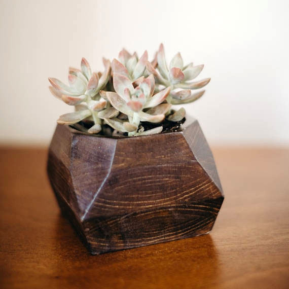 Succulent Planter