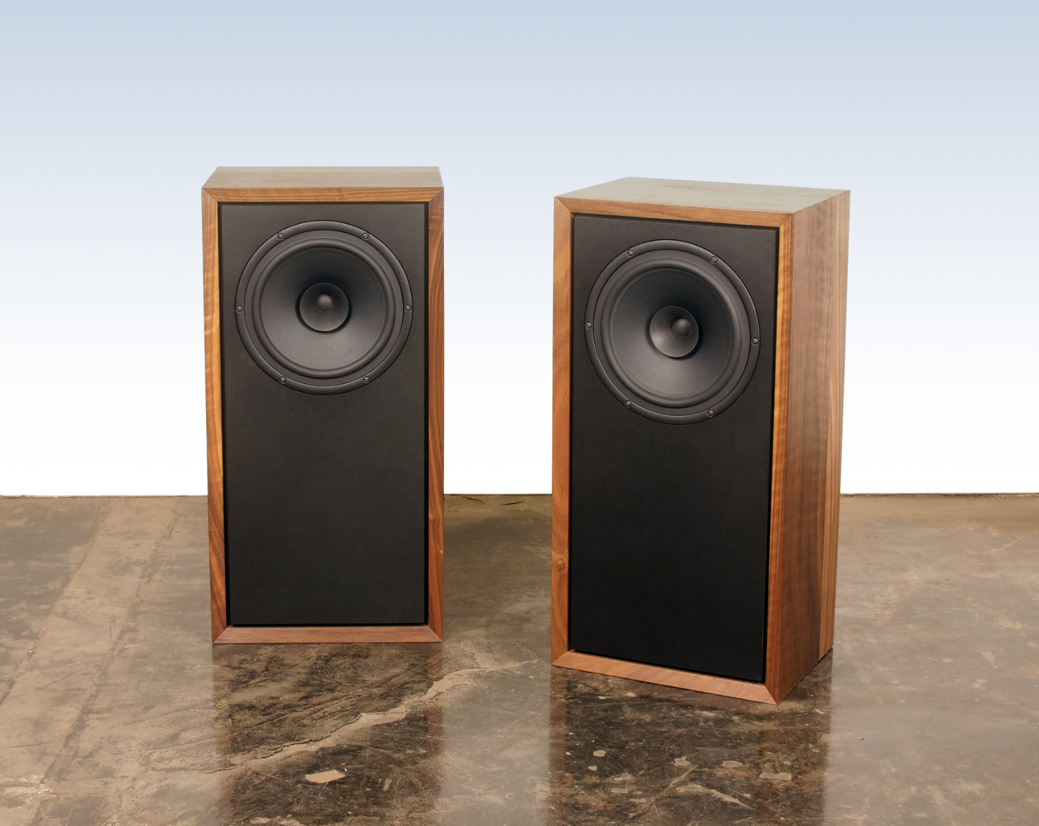 Raven II Speakers